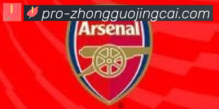中国竞彩网合作伙伴